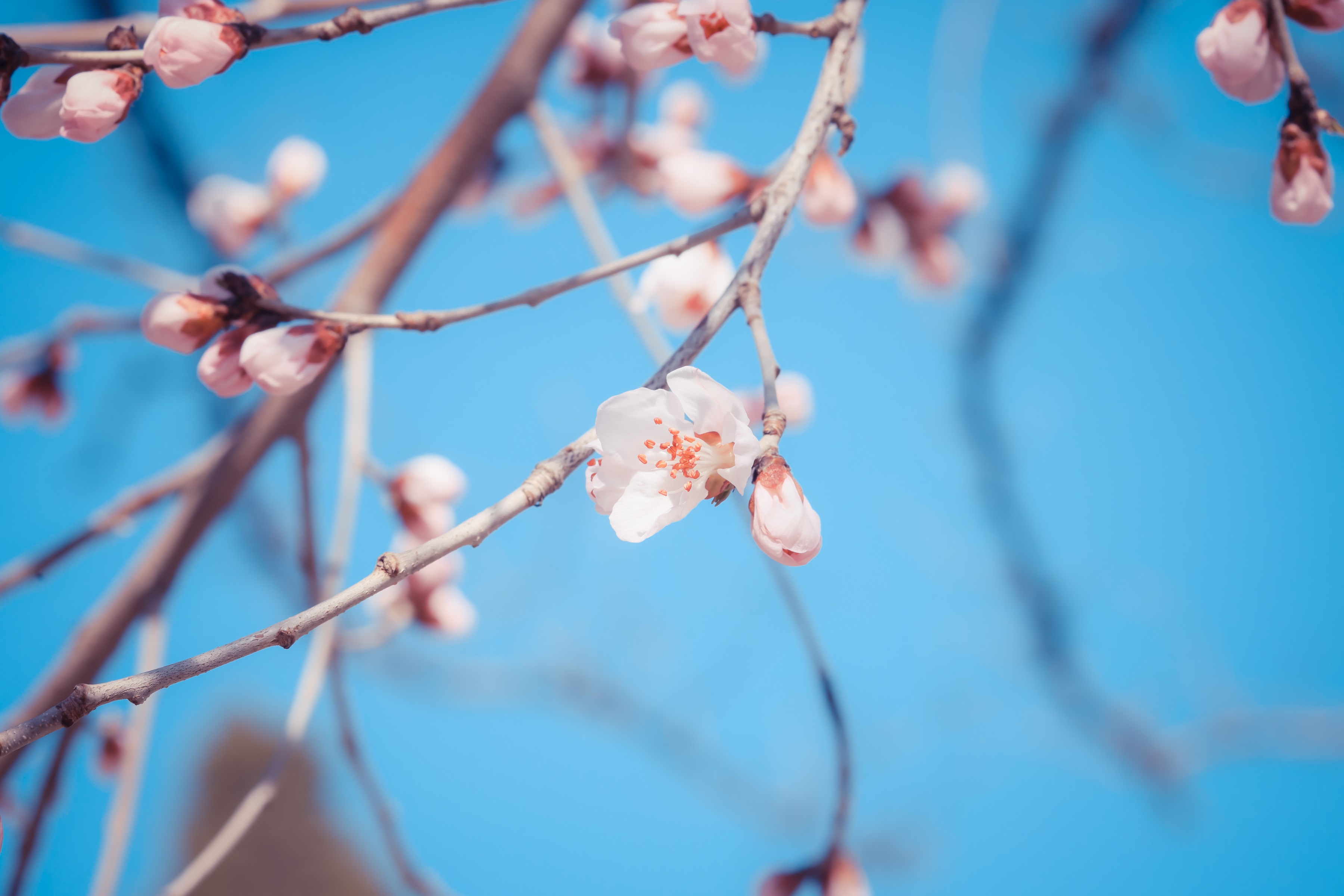 BETVLCTOR伟德在线