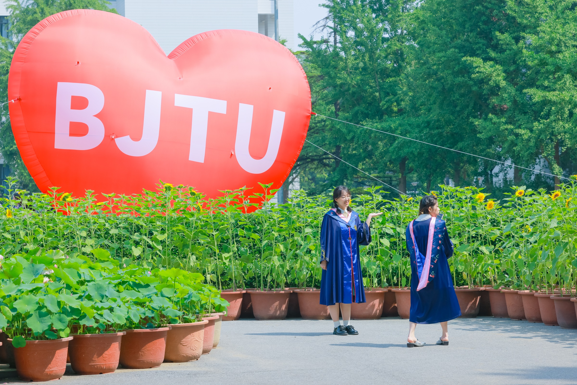 BETVLCTOR伟德在线